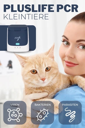 Eine Person hält eine Katze und zeigt auf ein Gerät namens Pluslife PCR für Kleintiere. Das Gerät wird verwendet, um Viren, Bakterien und Parasiten zu erkennen. Der Text auf dem Bild lautet 'PLUSLIFE PCR KLEINTIERE'. Die Katze schaut neugierig und ist in den Armen der Person. Im unteren Bereich des Bildes sind Symbole für Viren, Bakterien und Parasiten abgebildet.