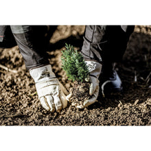 NITRAS handschoenen van volnerf rundleer, natuurlijke kleur / bruin, EN 388 katoen | Pakket (12 paar)