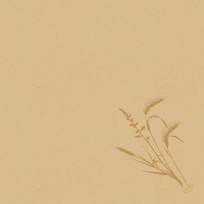 Beige gestructureerd papier met een eenvoudige bruine botanische grasillustratie in de rechter benedenhoek. Perfect voor de presentatie van de Duni GmbH Bio-Dunisoft-Serv. 40x40cm. De rest van de pagina is leeg.