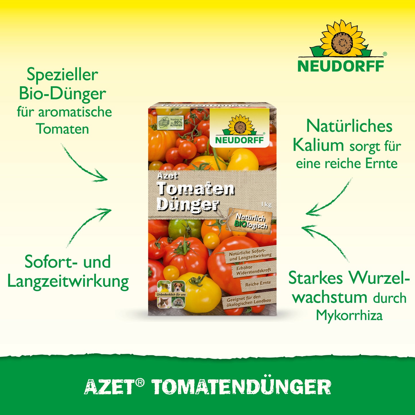 Abgebildet ist eine Schachtel Azet TomatenDünger von Neudorff Shop mit einer organischen Formel, die ideal für die Tomatendüngung ist und reiche Ernten, eine schnelle und lang anhaltende Wirkung und eine starke Wurzelunterstützung verspricht.