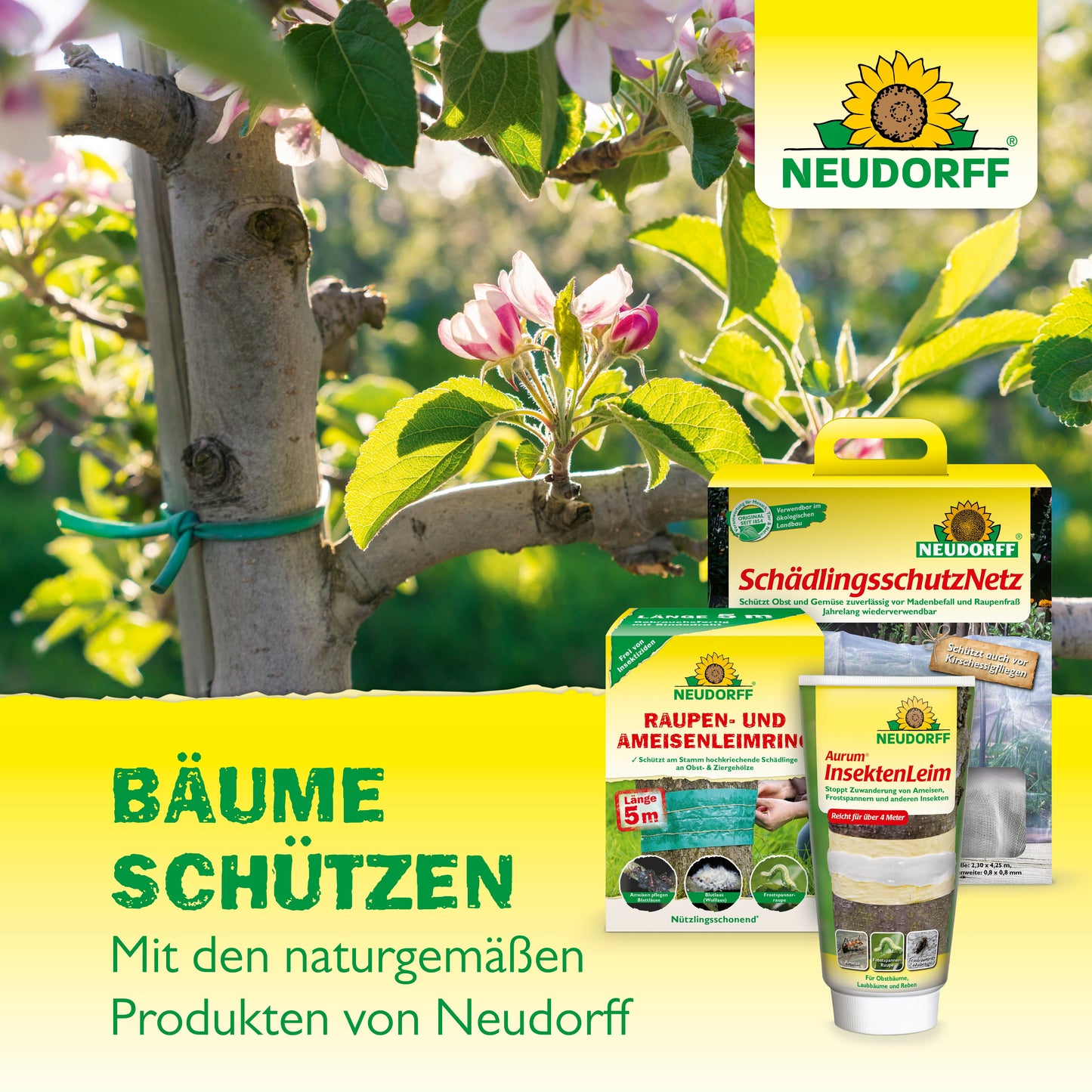 Ein mit grüner Schnur gebundener Ast unter Blüten, reifende Kirschen; im Vordergrund die Neudorff Shop KirschmadenFalle für natürlichen Kirschenschutz und darüber das Logo; deutscher Text hebt Baumpflege und Kirschernte hervor.