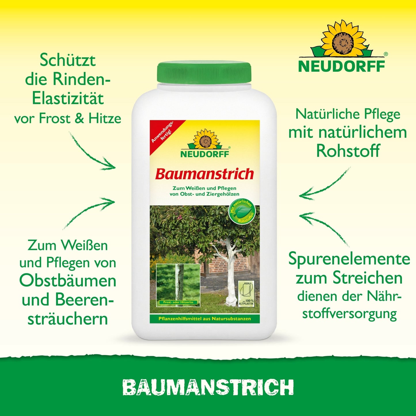 Biologische boomverf