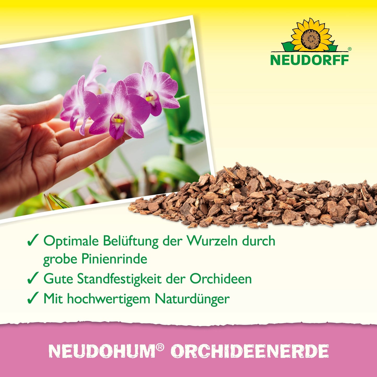 Een hand houdt een bloeiende orchidee bij een raam, ervoor ligt grove dennenbast. De tekst toont de NeudoHum Orchideeëngrond uit de Neudorff Shop - perfect voor de orchideeënverzorging, wortelbeluchting en als natuurlijke meststof bij het verpotten.