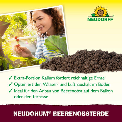 Een persoon oogst rode bessen uit een pot op het balkon. Op de voorgrond is een hoop aarde te zien. De tekst benadrukt de NeudoHum BeerenobstErde uit de Neudorff Shop, die de groei van bessen en vruchten met kalium en optimale bodemkwaliteit bevordert.