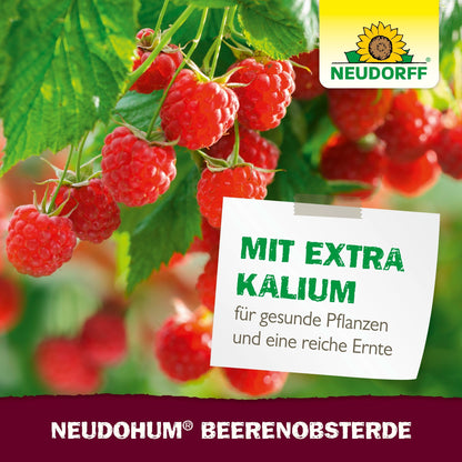 Close-up van rijpe frambozen in een pot. Op een kaart staat: "Met extra kalium voor gezonde planten en een rijke oogst." Het logo van de Neudorff Shop en de productnaam NeudoHum BeerenobstErde zijn zichtbaar - ideaal voor het kweken van fruit op het balkon.