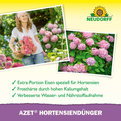 Eine Frau hält einen Korb mit rosa Hortensien in einem Garten. In der Nähe sind blühende Hortensien zu sehen. Neudorff Shop's Azet HortensienDünger flüssig wird für den Anbau schöner, gesunder Blumen beworben.