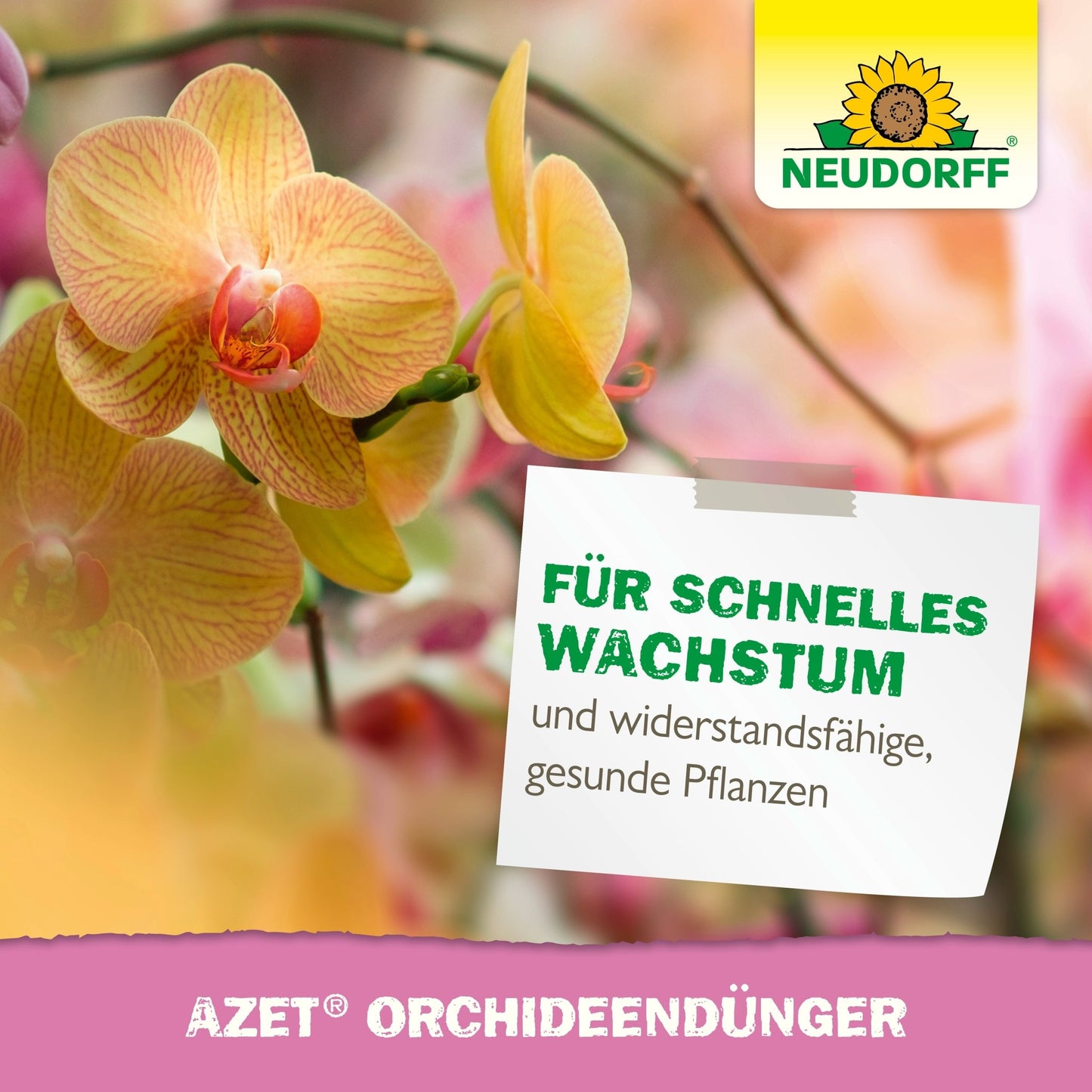 Een close-up van gele en roze orchideeën met het logo van de Neudorff Shop. De Duitse tekst promoot "Azet Orchideeënmest vloeibaar" voor adembenemende bloemen, snelle groei en sterke, gezonde planten.