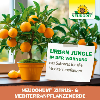NeudoHum Citrus- en mediterrane planten Bodem
