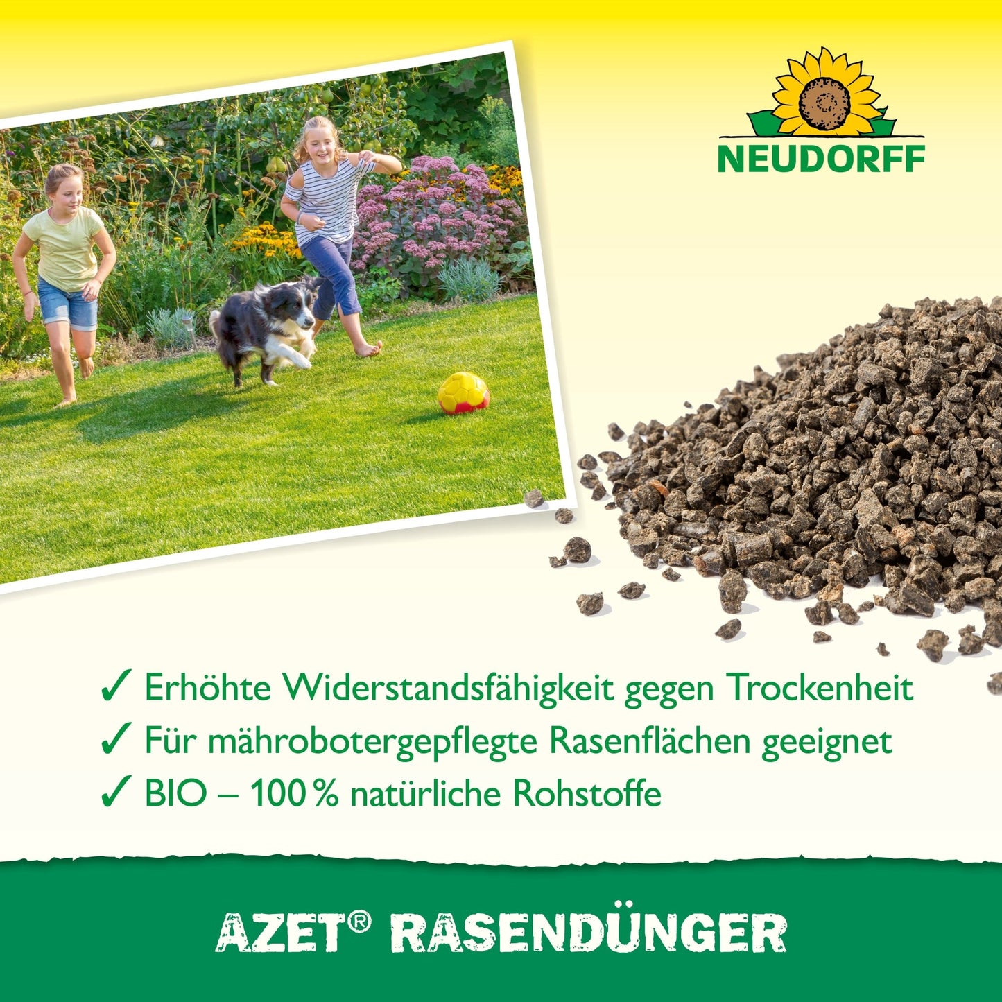 Een foto van twee kinderen en een hond die op weelderig gras met een voetbal spelen, naast een zak Neudorff Shop Azet Gazonmeststof 2,5 kg tot 5 kg. Tekst benadrukt voordelen voor een dichte grasmat; Neudorff-logo verschijnt rechtsboven.