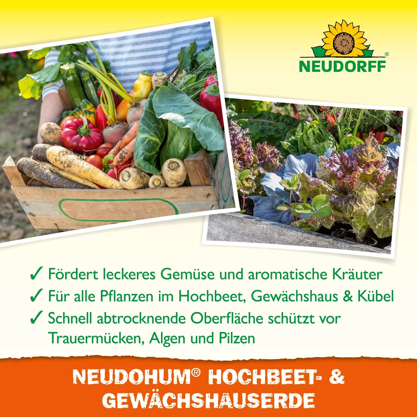 NeudoHum verhoogde bed- en kasgrond