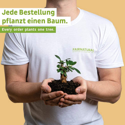Biologische Eiwitpannenkoeken Veganistisch