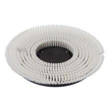 Die Diversey Nass-Shampoonierbürste (Ø 43 cm) verfügt über dichte, konzentrische Borsten auf schwarzem Grund, ideal für die Teppichreinigung mit TASKI ergodisc 165, 200 oder duo. Wird als Einzelstück pro Packung geliefert.