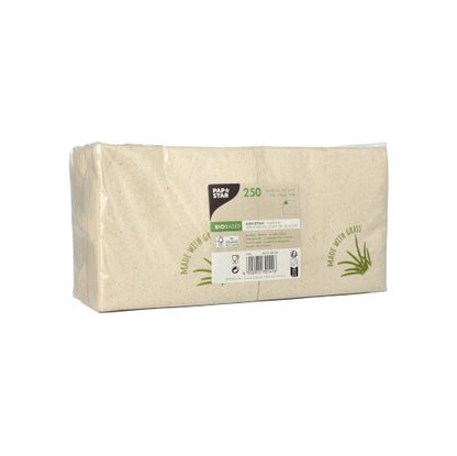 Een verzegelde rechthoekige verpakking met 250 beige servetten van de PAPSTAR GmbH, 2-laags, 24 x 24 cm, met een wit etiket en groene accenten, waarop productdetails, symbolen, grasgrafieken en de merknaam "PAPSTAR" te zien zijn.