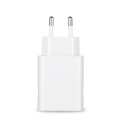 Das Netzteil und die Netzteil-Schutztasche für das Pluslife Mini Dock sind ein eleganter europäischer Steckeradapter in Weiß mit zwei Metallstiften, der sich ideal zum Betreiben elektronischer Geräte eignet. Er wird aufrecht vor einem schlichten weißen Hintergrund präsentiert, was sein elegantes und minimalistisches Design unterstreicht.