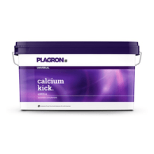 Een rechthoekige kunststof verpakking van 10 kg van Bertels B.V. met de opdruk „Plagron Calcium Kick“ is voorzien van een paars deksel en een handvat met kleurverloop; deze minerale bodemverbeteraar verbetert de bodemstructuur en werkt als pH-regelaar.