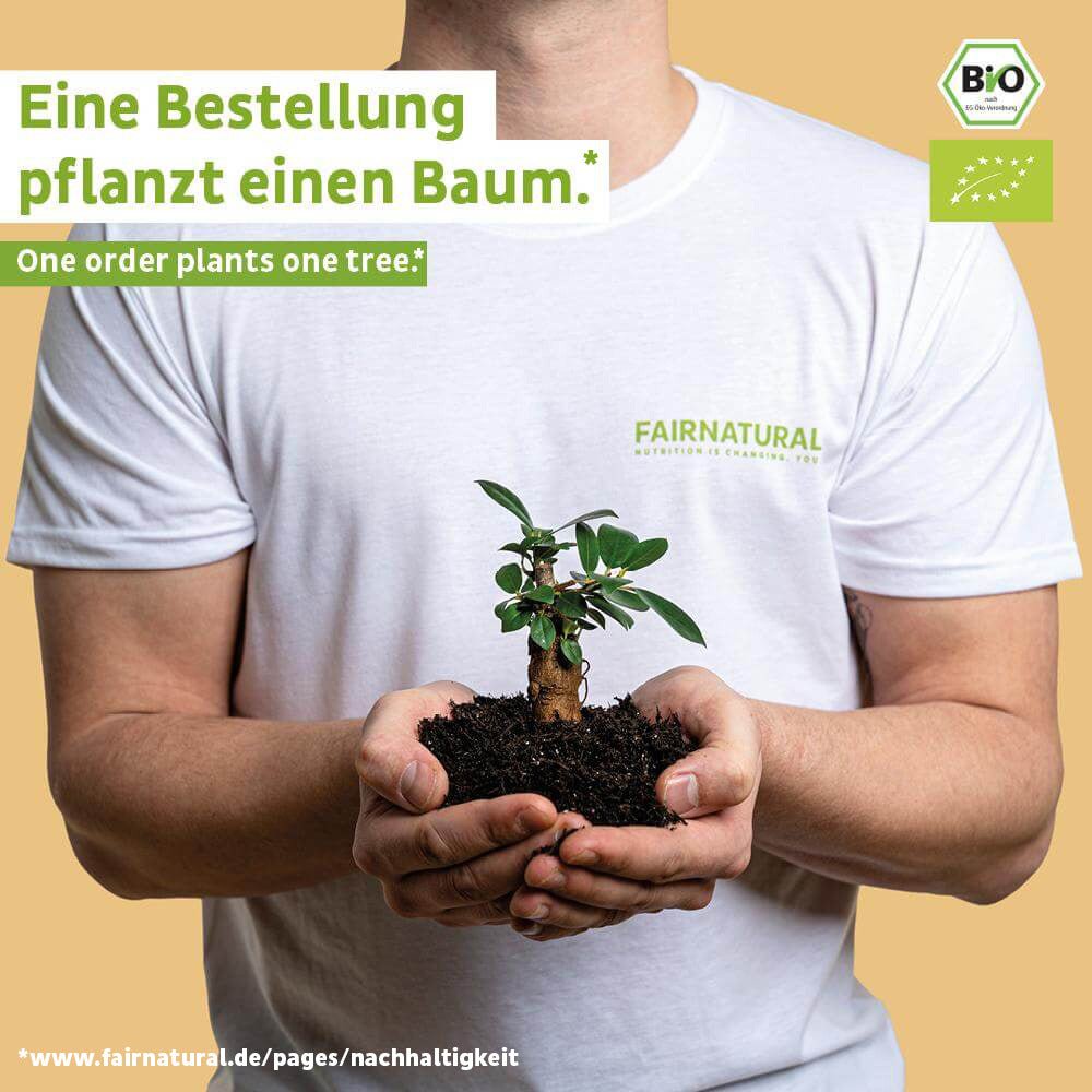 Biologische vegan eiwitpoeder mango zonder soja