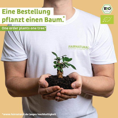 Biologische vegan eiwitpoeder mango zonder soja