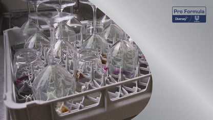 Sun Professional Realer Water voor Hartwasser, Saurer Clearer Canister (5 L)